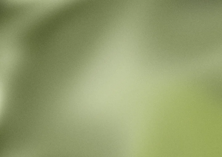 Army green grainy gradient background 11 with hex #505a24, #7f8c3e