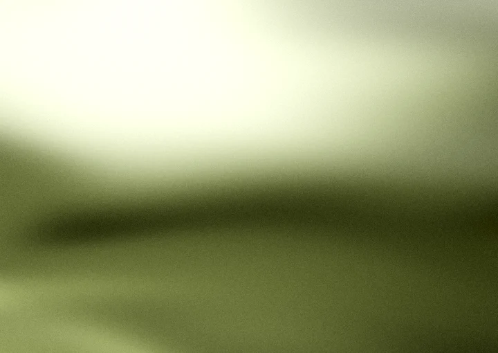 Army green grainy gradient background 3 with hex #565f28, #8a9648