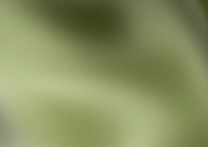 Army green grainy gradient background 7 with hex #4b5320, #7d8a3c
