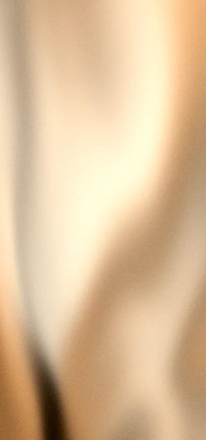 Bronze grainy gradient wallpaper 11 with hex #8e5a28, #d28a42