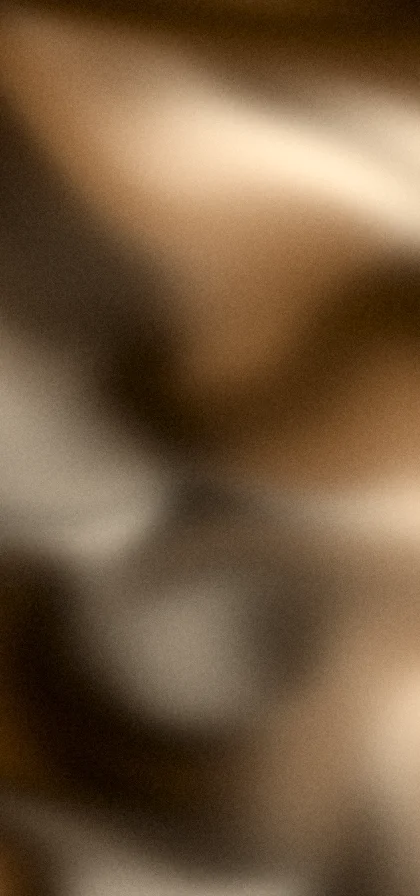 Bronze grainy gradient wallpaper 5 with hex #8e5a28, #d28a42