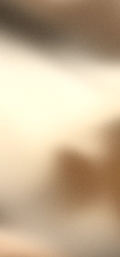 Bronze grainy gradient wallpaper 8 with hex #7a4a1e, #ecd2a8