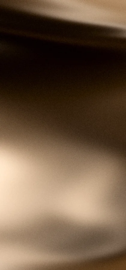Brown grainy gradient wallpaper 12 with hex #6f4a26, #a37a4d