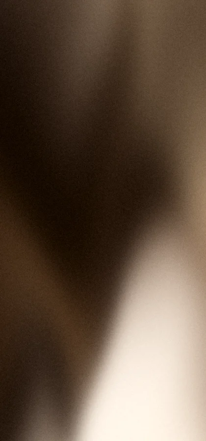 Brown grainy gradient wallpaper 3 with hex #5c3a1e, #d9b98f