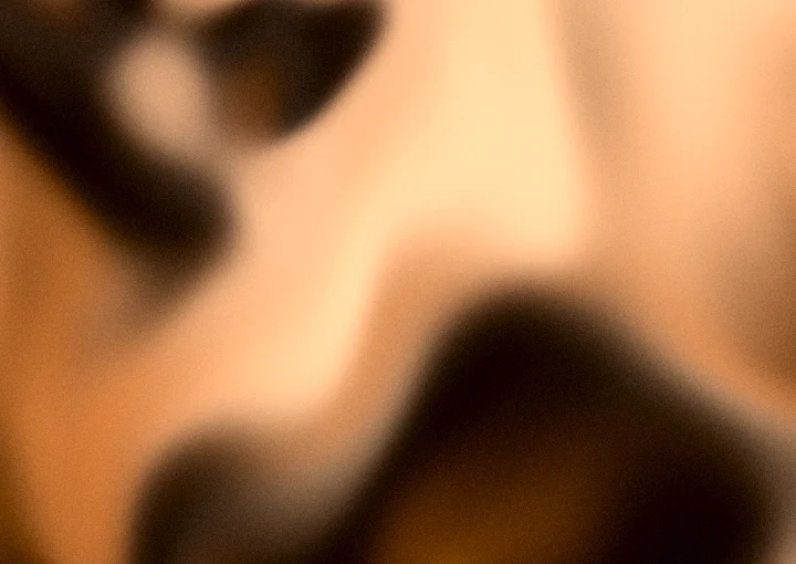 Orange grainy gradient background 4 with hex #a85818, #e07a26