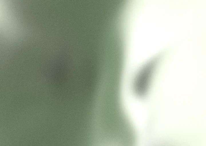 Sage green grainy gradient background 3 with hex #6e8263, #d8e2cc